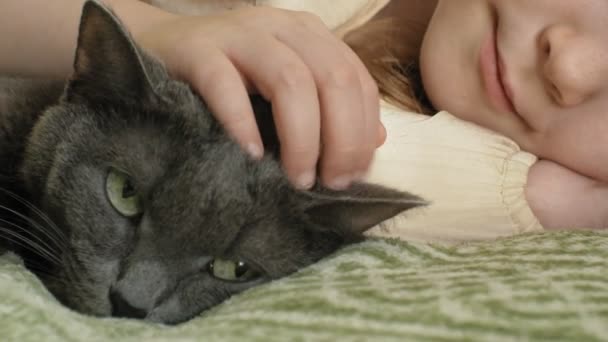 Счастливая девочка с светлыми волосами и косичками, лежащая на диване и гладящая серого кота — стоковое видео