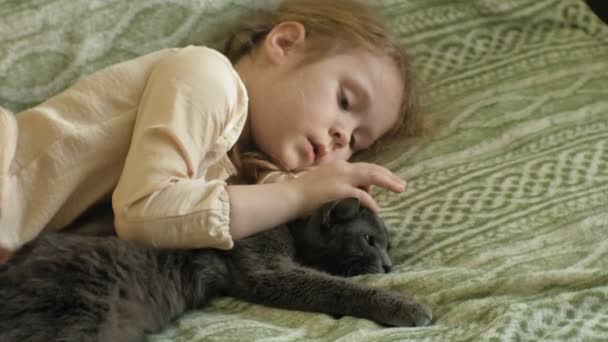 Szczęśliwa dziewczyna dziecko z blond włosy i warkocze, leżąc na kanapie, głaszcząc kota szary — Wideo stockowe