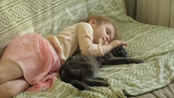 Niña feliz niño con el pelo rubio y coletas acostado en el sofá acariciando a un gato gris — Vídeo de stock