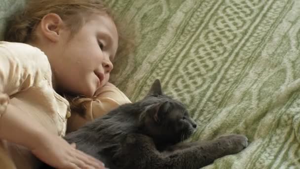 Niña feliz niño con el pelo rubio y coletas acostado en el sofá acariciando a un gato gris — Vídeo de stock