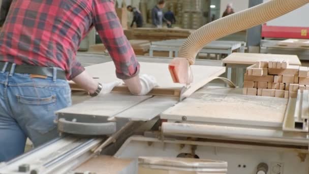 A man saws wooden door blanks on the machine, the production of village interior doors — Stock Video