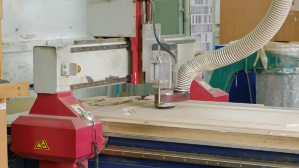 Práce pro frézovací stroje, připravuje dřevěné polotovary pro dveře, výroba vesnice interiérové dveře — Stock video