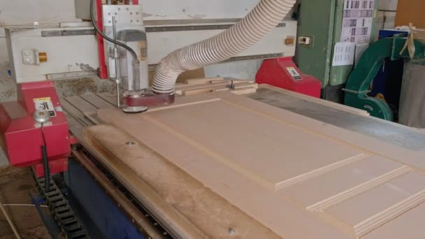 Werken voor de freesmachine, bereidt houten blanks voor de deur, de productie van dorp binnendeuren — Stockvideo