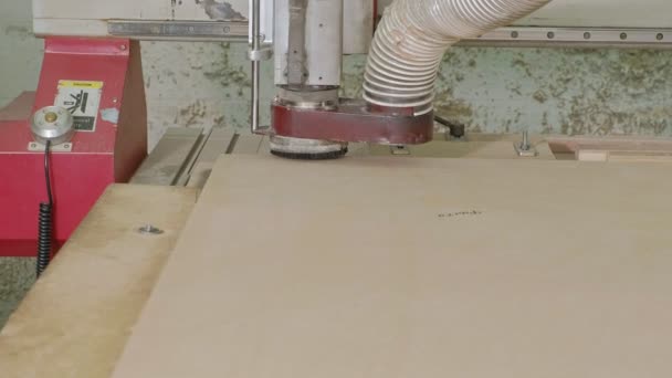 Arbete av fräsmaskin, förbereder trä blanks för dörren, produktion av byn innerdörrar — Stockvideo