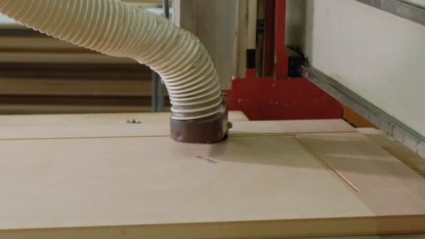 Werken voor de freesmachine, bereidt houten blanks voor de deur, de productie van dorp binnendeuren — Stockvideo