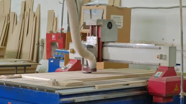 ミリング マシンの仕事、村内装ドアの生産、ドアの木製のブランクを準備 — ストック動画