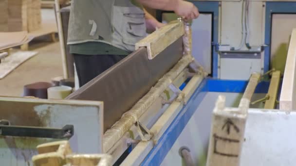 Lamination of doors, drawing veneer, the production of interior doors — Stock videók