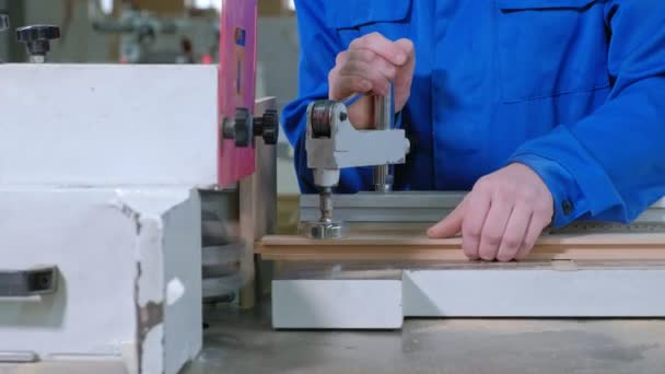 Der Prozess der scharfen Holzrohlinge, die Herstellung rustikaler Innentüren — Stockvideo