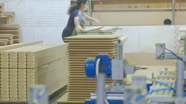 O processo de moagem de espaços em branco de madeira, a produção de portas de madeira — Vídeo de Stock