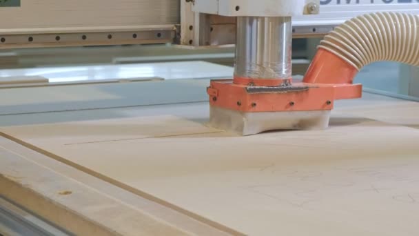 Werken voor de freesmachine, bereidt houten blanks voor de deur, de productie van dorp binnendeuren — Stockvideo