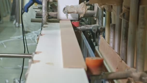 The process of veneering wood blanks, the production of wooden doors — Stock Video