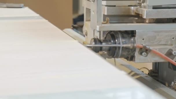 Werken voor de freesmachine, bereidt houten blanks voor de deur, de productie van dorp binnendeuren — Stockvideo