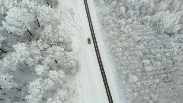 눈 덮인 숲, 무인 항공기로 공중 보기에에서 겨울 국가로 — 비디오