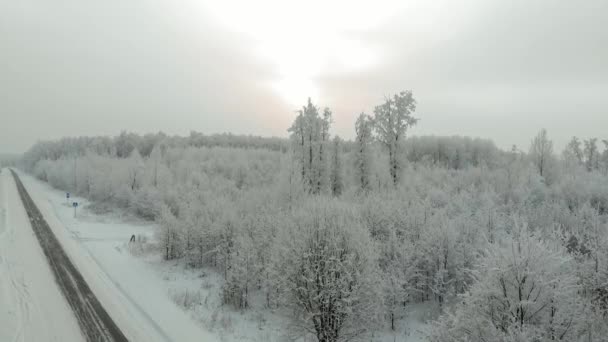 Winter landweg in een besneeuwde forest, luchtfoto met drone — Stockvideo