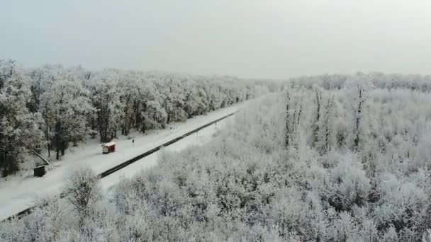 Χειμώνα επαρχιακό δρόμο σε ένα χιονισμένο δάσος, αεροφωτογραφία με drone — Αρχείο Βίντεο