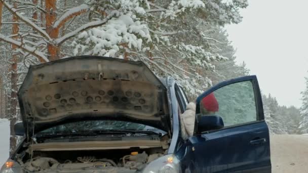 Femme avec une voiture de paille sur la route en hiver — Video