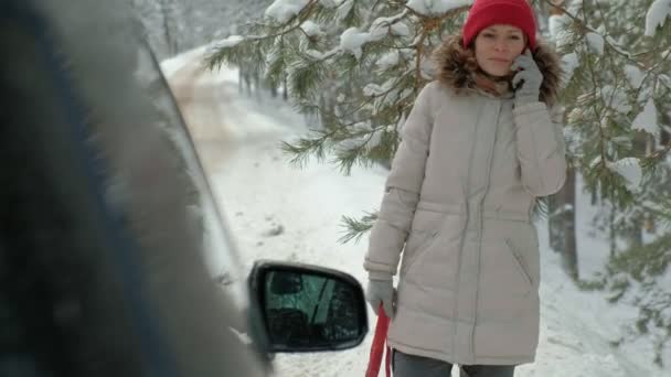 冬の道路上のわら車を持つ女性 — ストック動画
