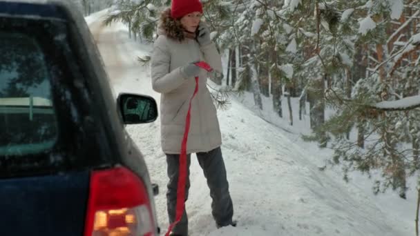 Ung Kvinna Vinter Skog Står Vägen Med Trasig Bil Håller — Stockvideo