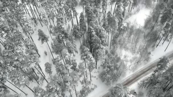 Χειμώνα επαρχιακό δρόμο σε ένα χιονισμένο δάσος, αεροφωτογραφία με drone — Αρχείο Βίντεο
