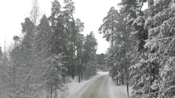Estrada país inverno em uma floresta nevada, vista aérea com drone — Vídeo de Stock