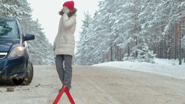 Młoda Kobieta Lesie Zimą Drodze Rozmawia Przez Telefon Czekając Pomoc — Wideo stockowe