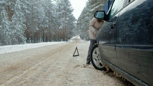 Femme avec une voiture de paille sur la route en hiver — Video