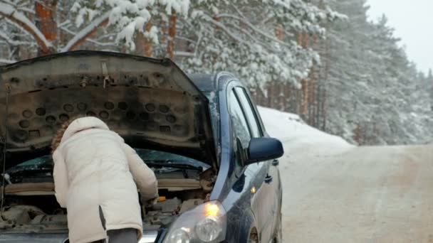 Vrouw met een stro auto op de weg in de winter — Stockvideo