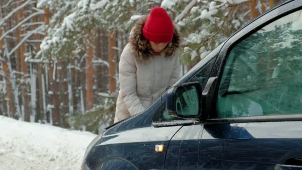 Donna con una macchina di paglia sulla strada in inverno — Video Stock