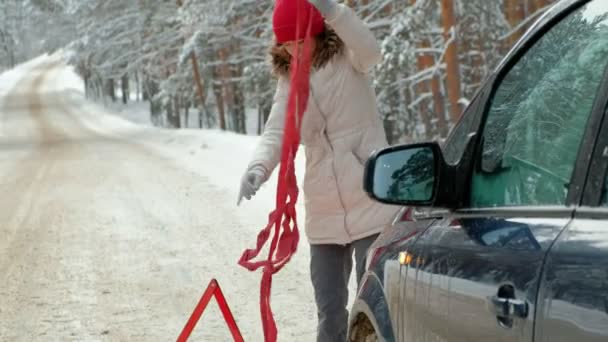 Donna con una macchina di paglia sulla strada in inverno — Video Stock