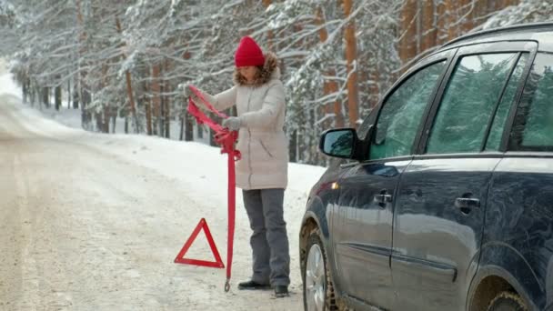 Femme avec une voiture de paille sur la route en hiver — Video