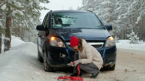 Femme avec une voiture de paille sur la route en hiver — Video