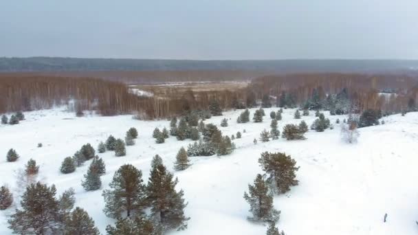 雪の中で凍結する川の空中の平面図です。空中の冬の風景。ヘリコプター撮影 — ストック動画