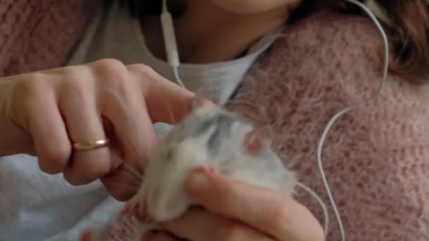 Young woman with a funny rat at home, playing and feeding her — Stock Video