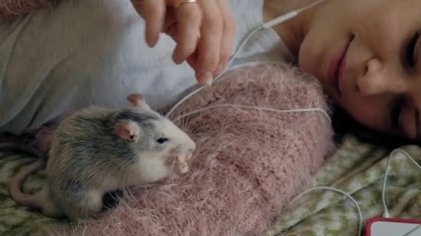 Mujer joven con una rata divertida en casa, jugando y alimentándola — Vídeos de Stock