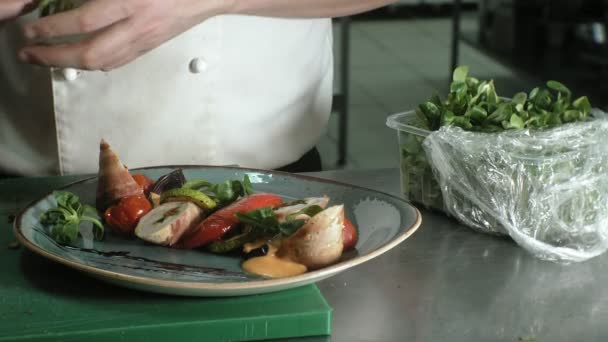 Chef decora prato saboroso, conceito de negócio restaurante — Vídeo de Stock