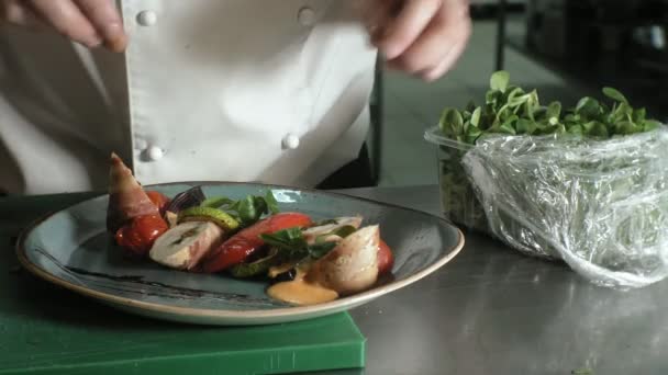Chef decora prato saboroso, conceito de negócio restaurante — Vídeo de Stock