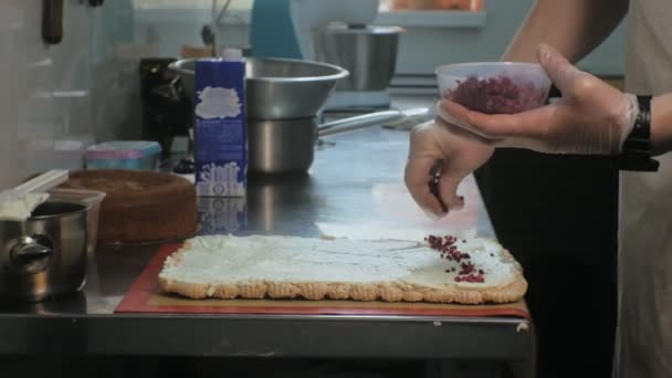 Het concept van het koken. Professionele banketbakker maakt een heerlijke taart, close-up — Stockvideo