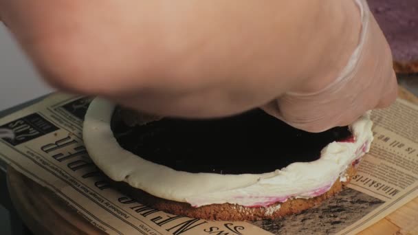 O conceito de cozinhar. Chef de pastelaria profissional faz um delicioso bolo, close-up — Vídeo de Stock