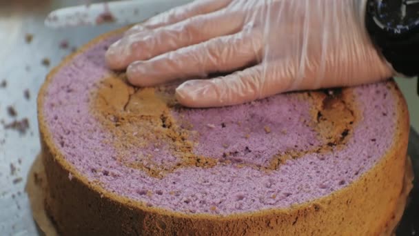 O conceito de cozinhar. Chef de pastelaria profissional faz um delicioso bolo, close-up — Vídeo de Stock