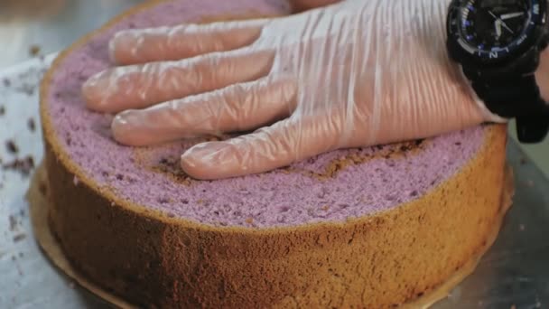 O conceito de cozinhar. Chef de pastelaria profissional faz um delicioso bolo, close-up — Vídeo de Stock