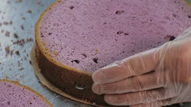 El concepto de cocinar. Chef pastelero profesional hace un delicioso pastel, primer plano — Vídeo de stock