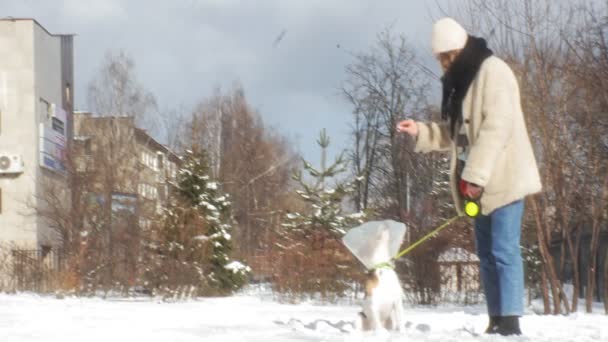 Vrouw met een hond wandelen — Stockvideo