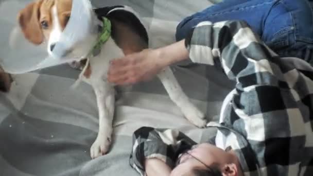 Женщина играет с собакой на кровати — стоковое видео