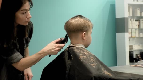 Cabeleireiro, crianças e homens cortes de cabelo — Vídeo de Stock