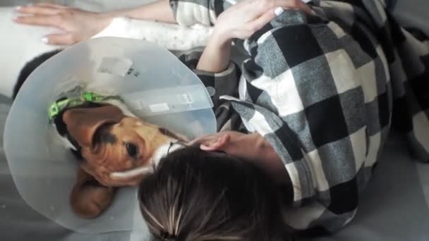 Женщина играет с собакой на кровати — стоковое видео