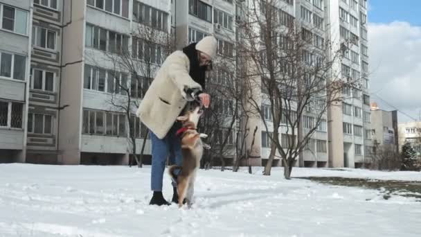 Женщина гуляет с собакой — стоковое видео