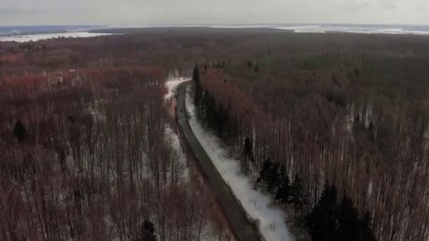 Auto-estrada na floresta, imagens aéreas — Vídeo de Stock
