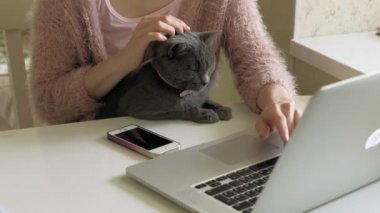 Dizüstü bilgisayar kullanarak kedi ile çekici kadın
