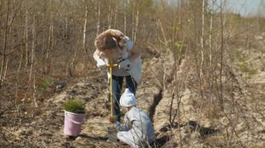 Ağaç fidanı dikmek. Orman restorasyonu, ekolojinin korunması.