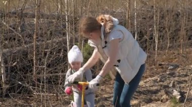 Ağaç fidanı dikmek. Orman restorasyonu, ekolojinin korunması.